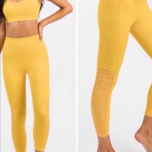 Yellow daffodil Mesh Leggings